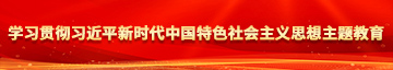 操骚婊日插扣射尿学习贯彻习近平新时代中国特色社会主义思想主题教育